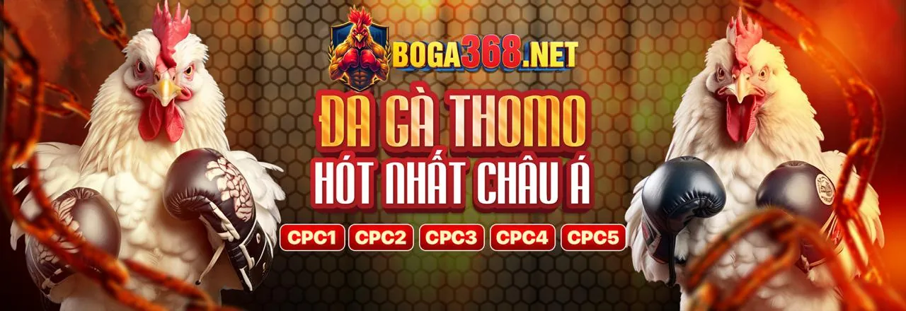 Đá Gà Trực Tuyến ab7711
